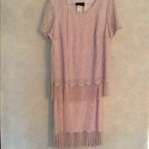Shimmery Pink & Silver Dress / Top 3X, Skirt 1X